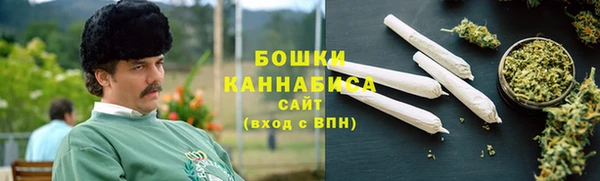 гашик Новодвинск