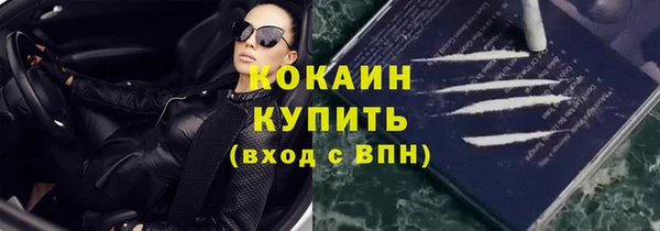 гашик Новодвинск