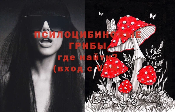 соль курить ск Болохово