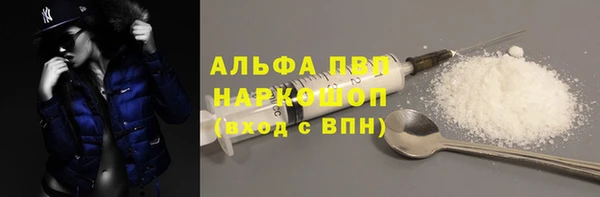 гашик Новодвинск