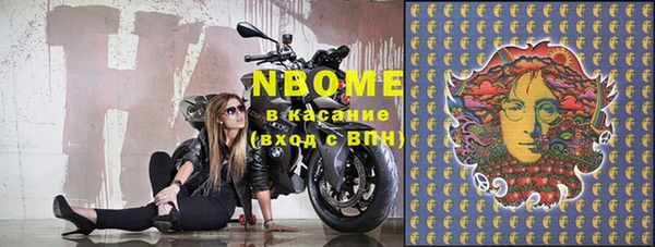 гашик Новодвинск