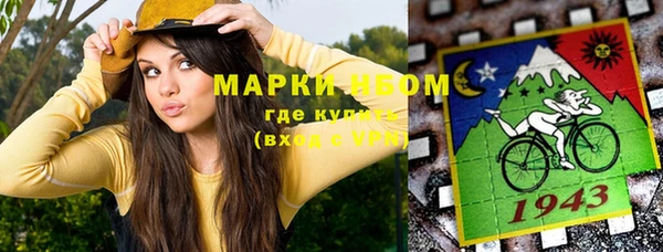 прущие крисы Новозыбков