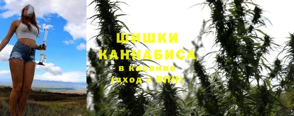 гашик Новодвинск