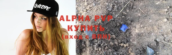 гашик Новодвинск
