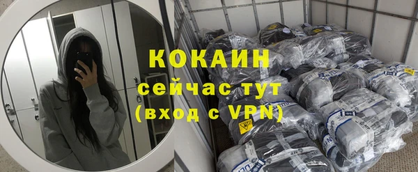 гашик Новодвинск
