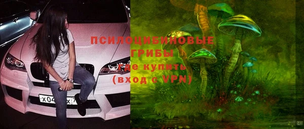 гашик Новодвинск