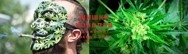 прущие крисы Новозыбков