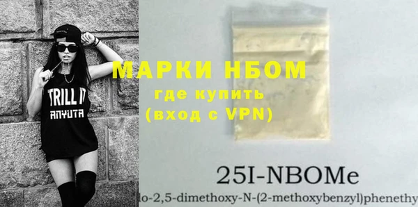 гашик Новодвинск