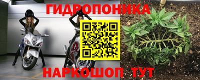 каннабис Аргун