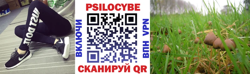 omg ONION  купить закладку  Барнаул  Псилоцибиновые грибы GOLDEN TEACHER 
