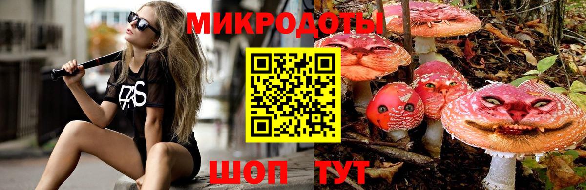 Псилоцибиновые грибы мицелий Барнаул